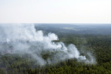 Глава МЧС пообещал ликвидировать пожары в Сибири за два с половиной дня